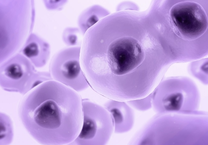 总结有关冻存细胞的方法及使用介绍