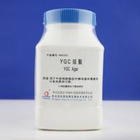YGC琼脂