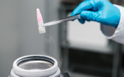 总结有关冻存细胞的方法及使用介绍