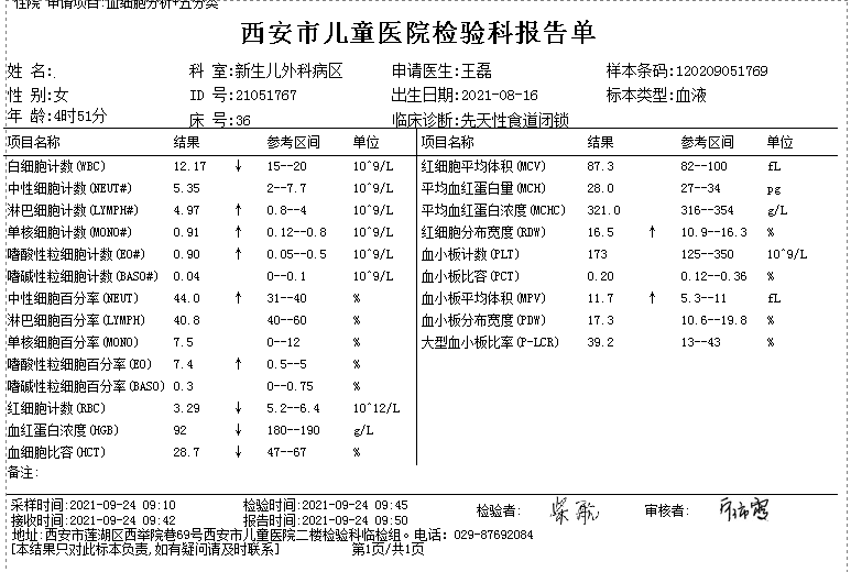数字化摄影是什么检查「协和_https://www.jmylbn.com_新闻资讯_第12张