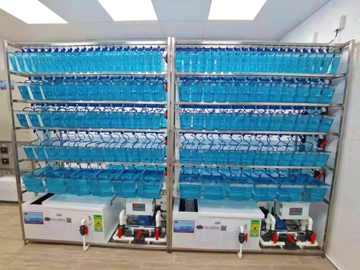 上海市同仁医院虹桥医学研究院又建科研服务新平台,斑马鱼模式生物助你再上新台阶