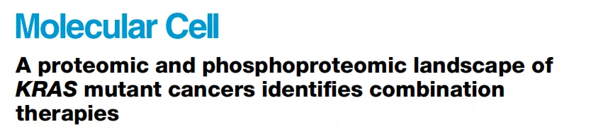 大规模蛋白质组检测 | Molecular Cell：上海药物所揭示了KRAS突变肿瘤的分子分型和精准治疗新策略