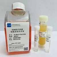 iCell原代肿瘤细胞培养体系/镜像绮点（Cellverse）