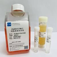 iCell原代T淋巴细胞培养体系/镜像绮点生物