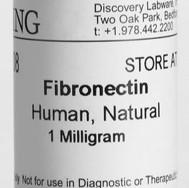 Fibronectin纤维连接蛋白，纤连蛋白(人)Corning