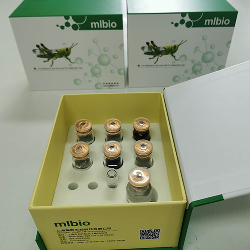 羊生长激素释放多肽(GHRP)ELISA试剂盒