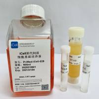 iCell原代间质细胞培养体系/镜像绮点生物