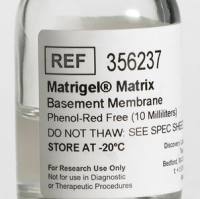 Corning® Matrigel,基质胶不含酚红,不含LDEV