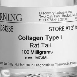Corning® I型胶原蛋白，鼠尾1型胶原蛋白