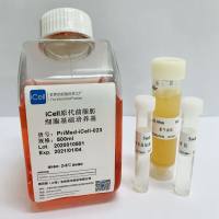 iCell原代前脂肪细胞培养体系/镜像绮点(Cellverse)