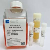 iCell原代软骨细胞培养体系/镜像绮点（Cellverse）
