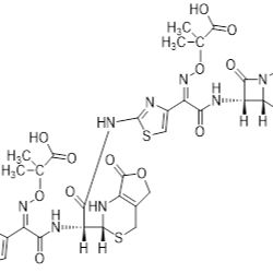 头孢他啶二聚体杂质B