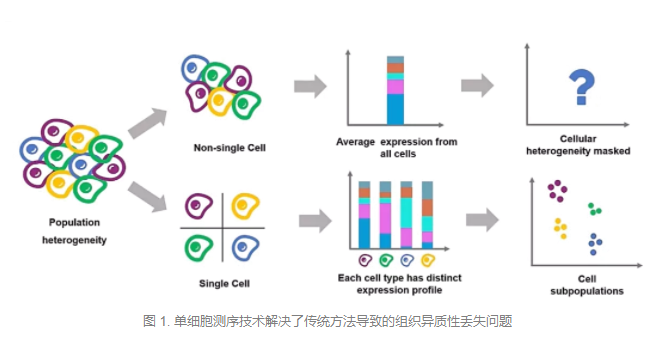 师兄师姐们已经在 CNS 上发表文章，而我却还在做实验