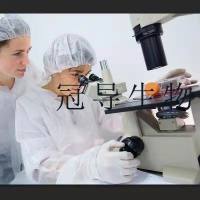 WA13 Cell;WA13细胞系(STR鉴定图谱)