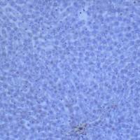 上海瓦兰生物细胞株促销活动