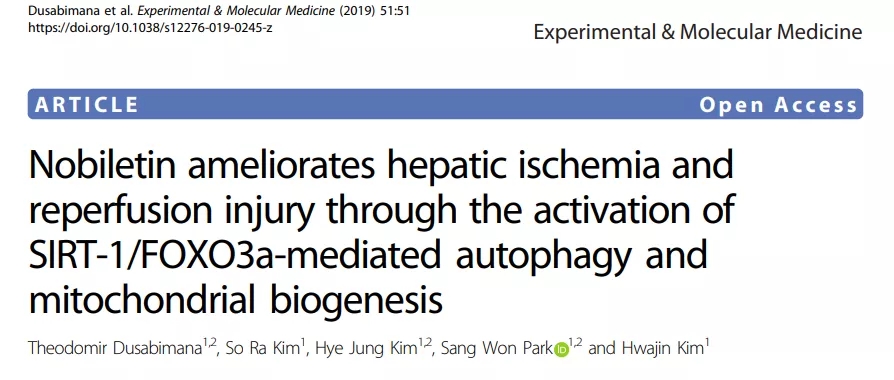 五分钟文献解读之《Nobiletin通过激活SIRT-1/FOXO3a介导的自噬和线粒体生物发生改善肝缺血再灌注损伤》