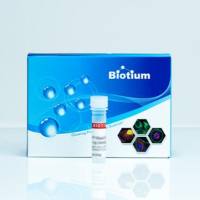 Texas Red-DHPE 60027