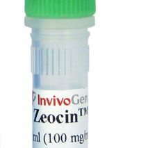 博来霉素Zeocin，细胞培养实验用