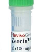 博来霉素Zeocin,细胞培养实验用
