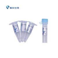 DH10B Chemically CompetentCell/感受态系列/适用于富含甲基胞嘧啶或甲基腺嘌呤DNA的克隆，转化效率＞10^9 cfu/μg/擎科生物TSINGKE