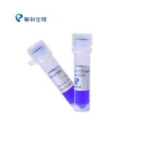 1.1×T3 Super PCR Mix/PAGE专用PCRmix，极速延伸（10~15 s/kb）/擎科生物TSINGKE