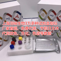 阴道炎联合检测试剂盒(干化学酶法)