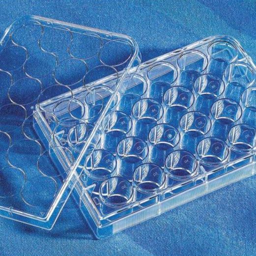 康宁/corning:24孔细胞标准培养板TC表面,单独或单个成套包装,带盖灭菌,货号:3524