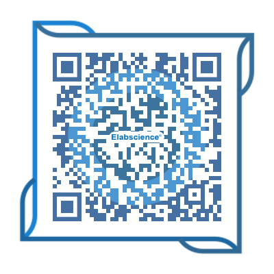 感恩节 | 以团之名，赴一场知识盛宴