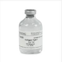 BD Biocoat 354236 鼠尾胶原蛋白I型, Collagen I Rat Tail
