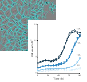 十大免疫学细胞实验，如此简单！