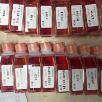 大鼠T淋巴细胞/免疫荧光鉴定