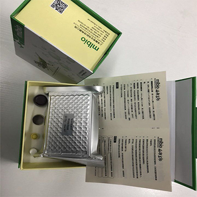 β木糖苷酶测定试剂盒