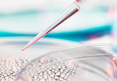 有关细胞衰老检测具体过程