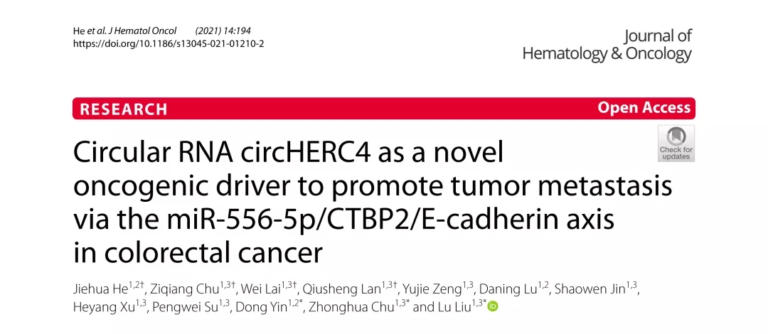 J Hematol Oncol（IF17+）丨新型致癌驱动因子circHERC4促进CRC转移的分子机制