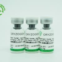 重组人长效胰岛素样生长因子-1 rhIGF-1 LR3