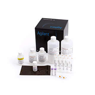 Agilent NGS 片段试剂盒 (1–6000 bp)