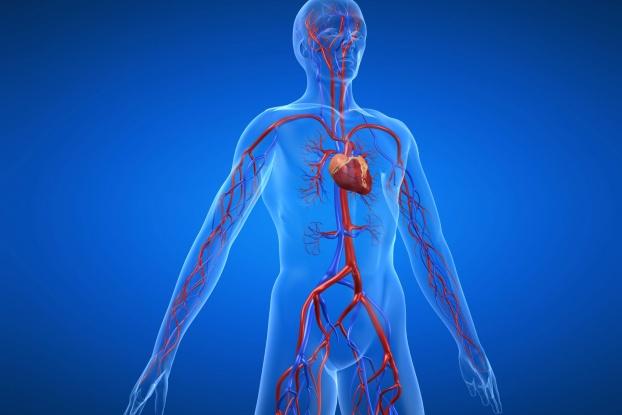 D-二聚体检测试剂盒（荧光免疫层析法）