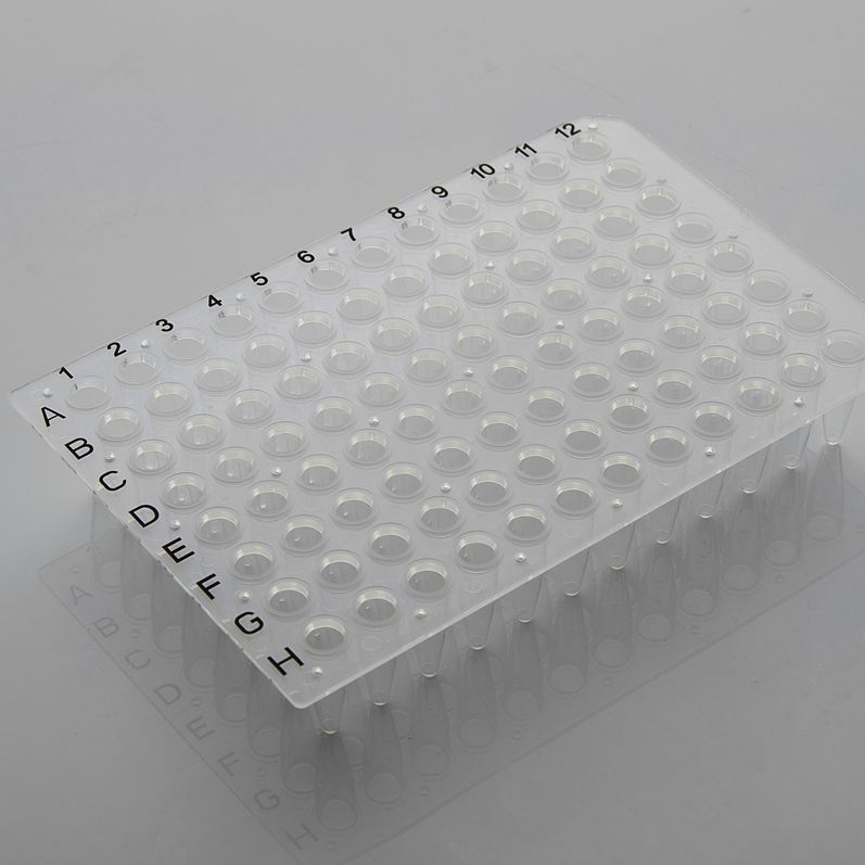 0.2ml PCR板.96孔.透明.无裙边.印字