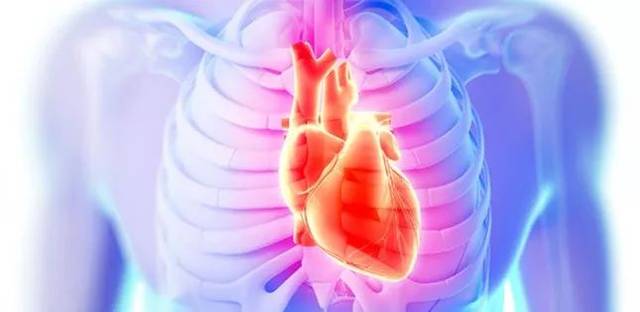 N-末端脑钠肽前体检测试剂盒（荧光免疫层析法）