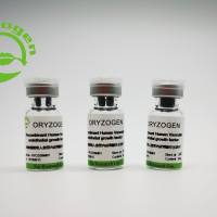 植物源重组人血管内皮生长因子OsrhVEGF