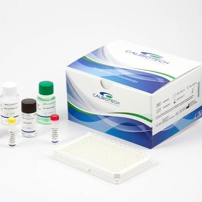 肌红蛋白检测试剂盒（酶联免疫法）