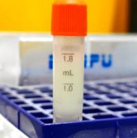 冻存PBMC（人外周血单个核细胞）hPBMC 单个核细胞