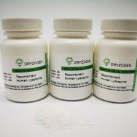 植物源重组人溶菌酶OsrhLYZ
