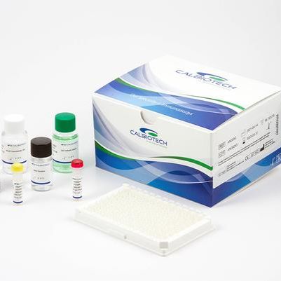 甲状腺球蛋白（TG）抗体检测试剂盒（酶联免疫法）