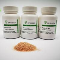 植物源重组人乳铁蛋白OsrhLF