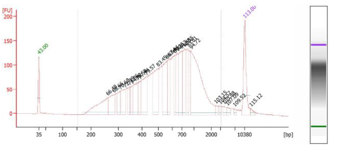 为度生物 CleanNGS 应用于 NGS 文库制备和片段筛选应用分享