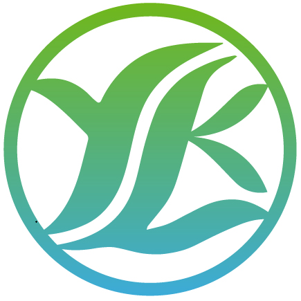 人血管内皮细胞生长因子(VEGF)酶联免疫分析试剂盒