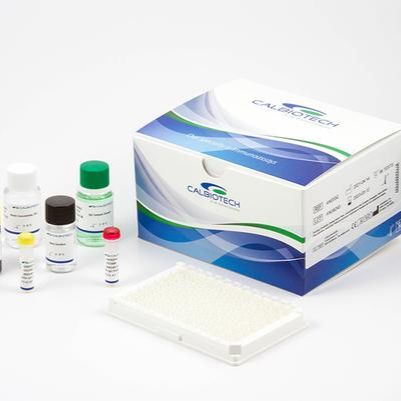 人附睾蛋白4检测试剂盒（酶联免疫法）