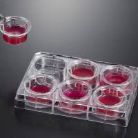 一次性细胞嵌入皿