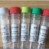 猪圆环2型CAP抗原PCV-2 CAP重组蛋白